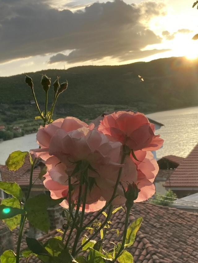 Roleo Guest House Lini Buitenkant foto