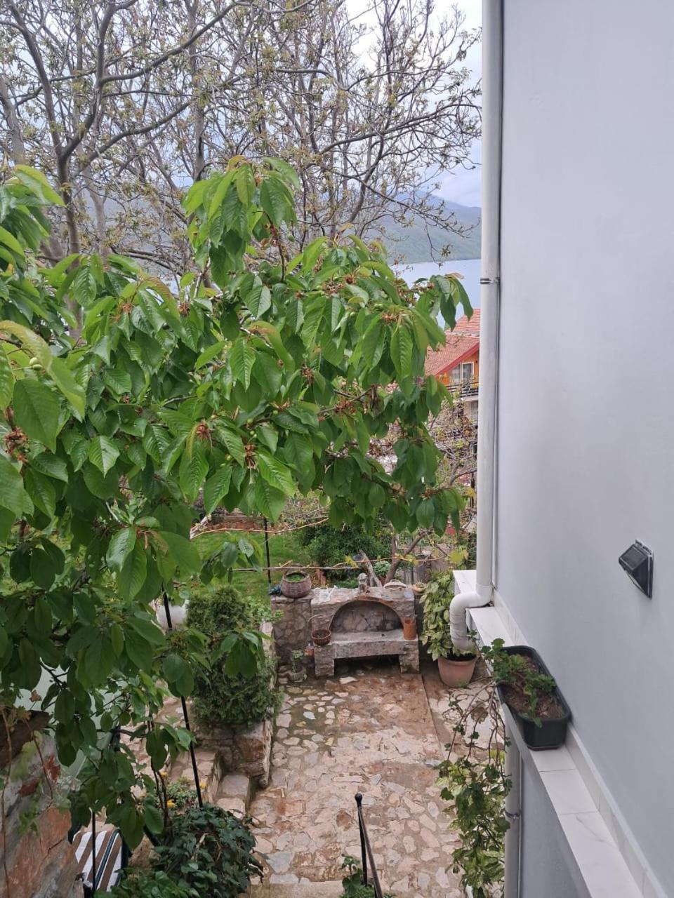 Roleo Guest House Lini Buitenkant foto